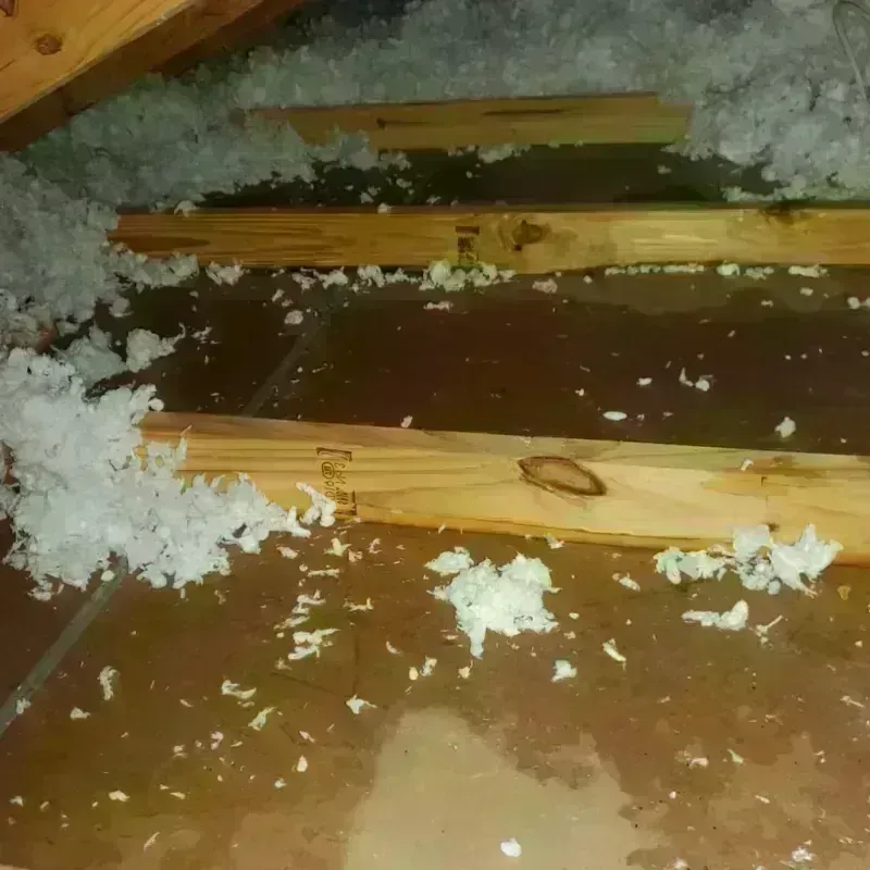 Attic Water Damage in Edisto, SC