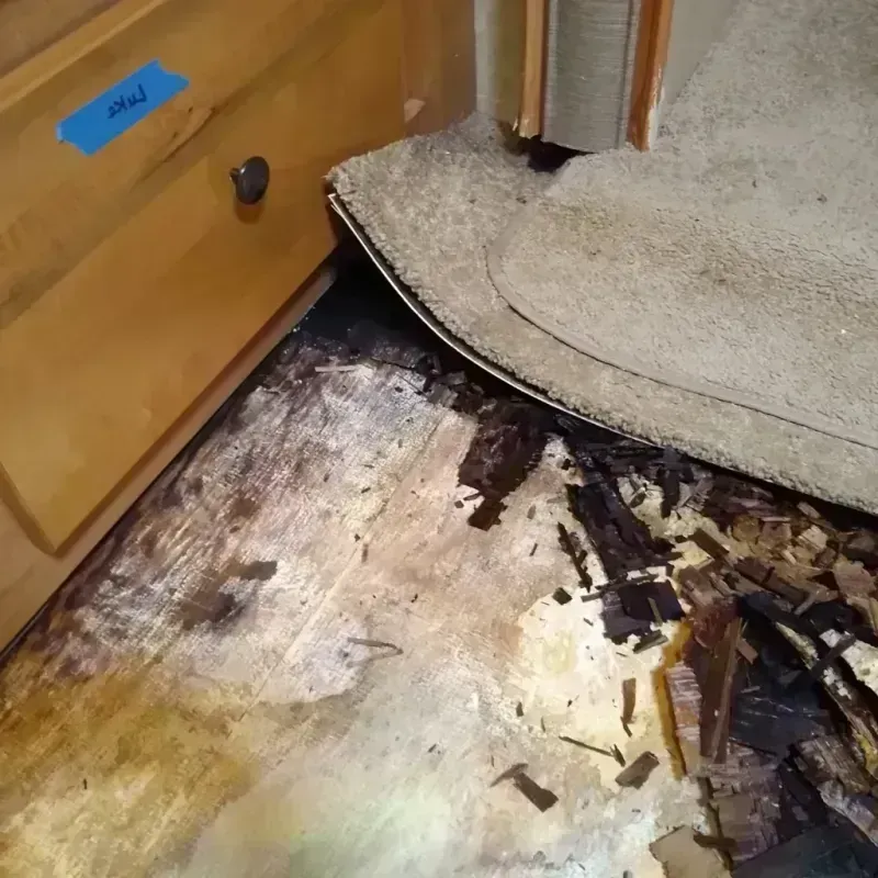 Best Wood Floor Water Damage Service in Edisto, SC